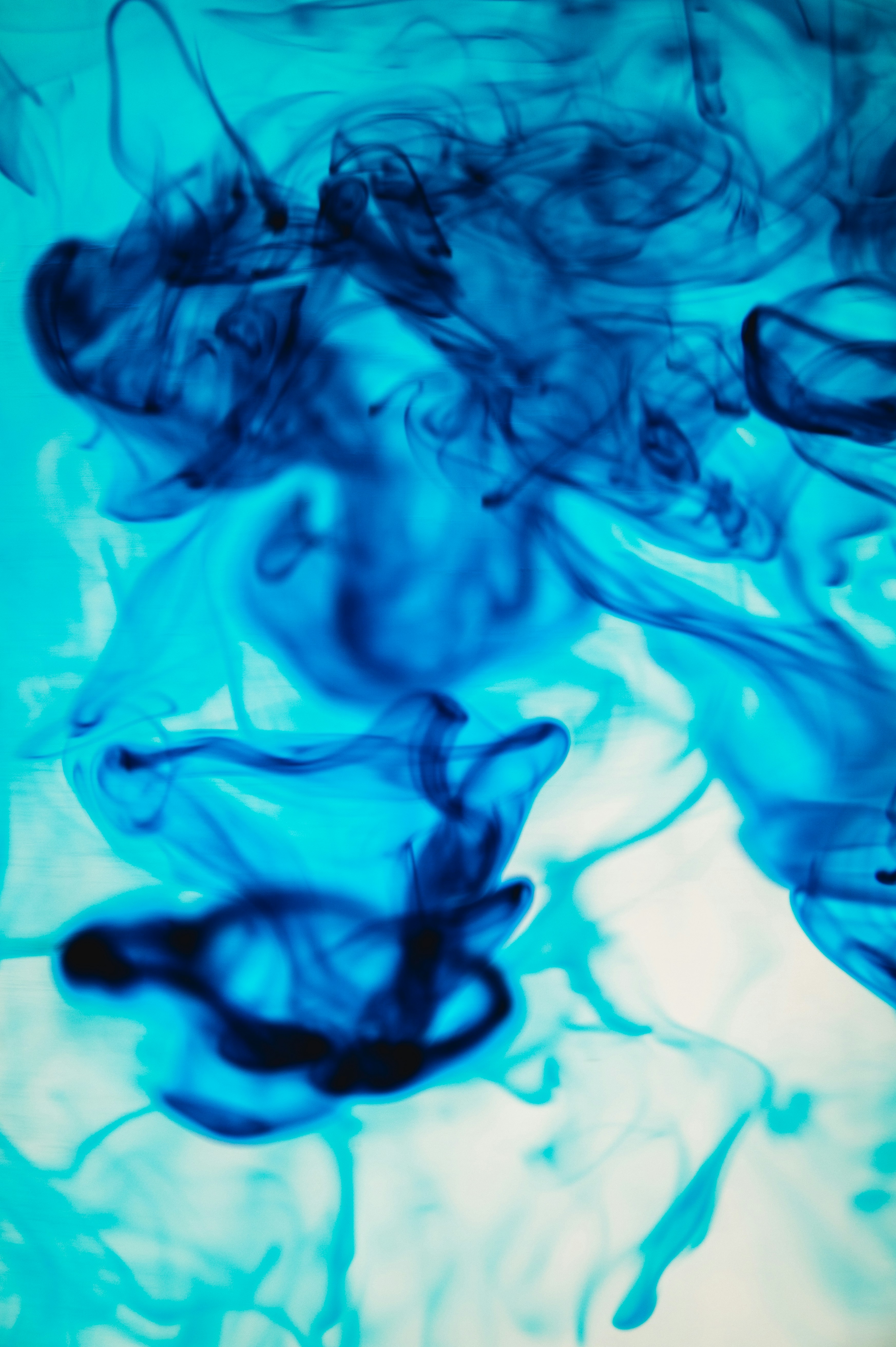 Photo by ryunosuke_kikuno