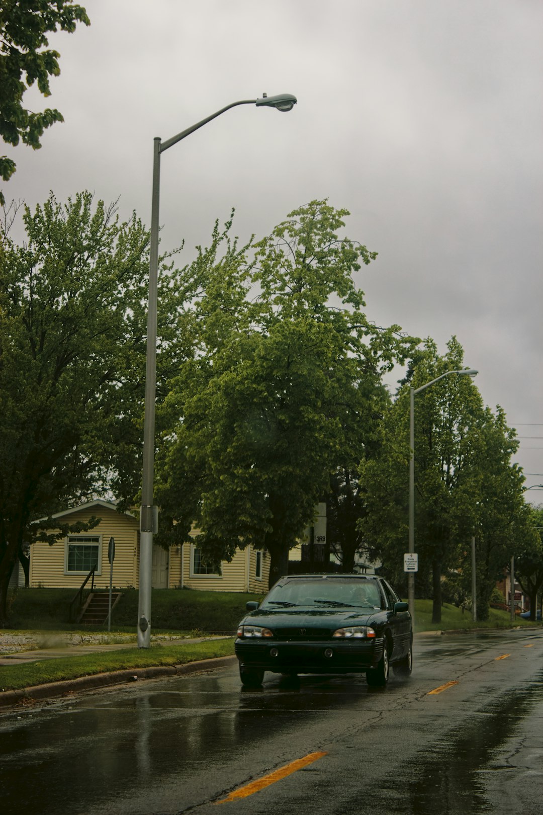 black car parked near green tree during daytime