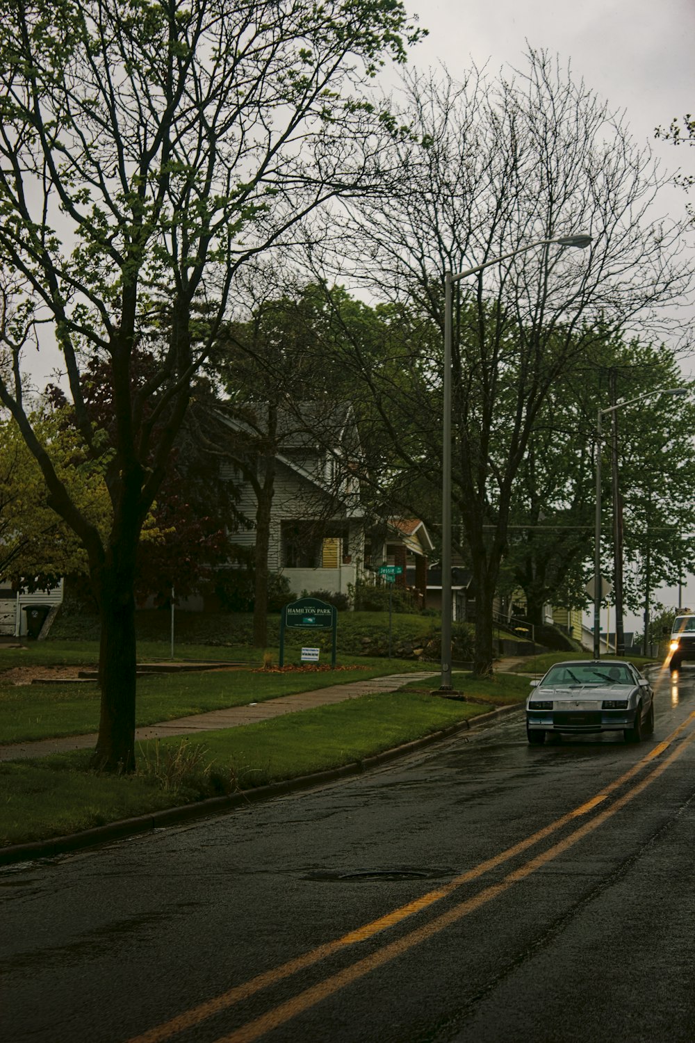 gray car on road near green trees during daytime