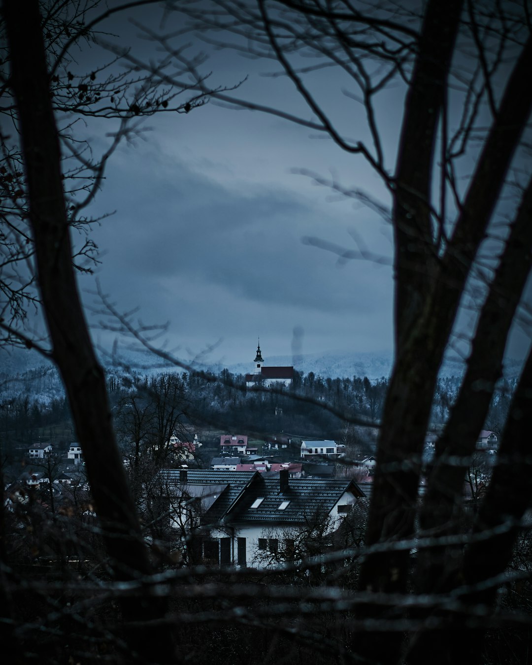 houses and trees under white clouds