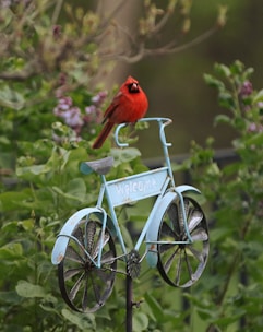 A set of decorative wall art pieces showcasing hand-painted cardinals in natural settings.