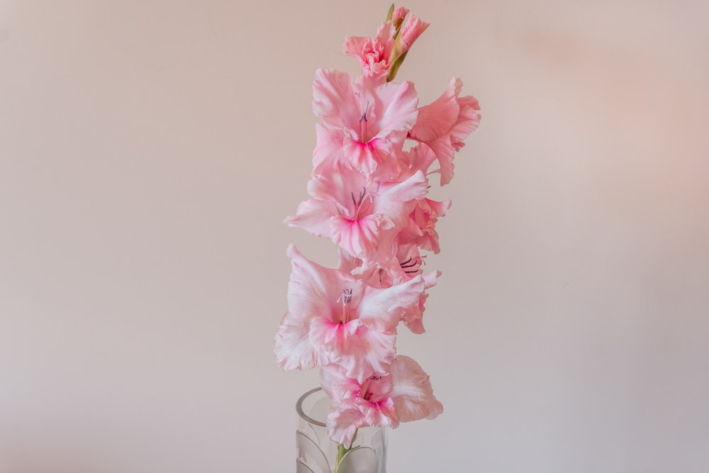 flor de cerejeira rosa no vaso de vidro transparente