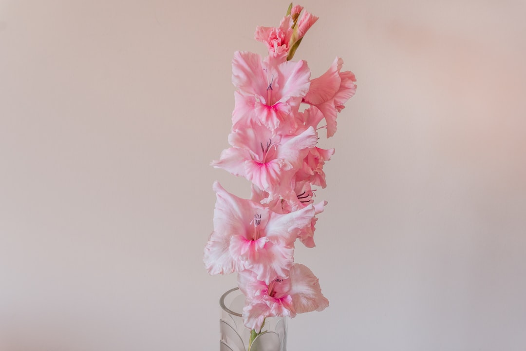 pink cherry blossom in clear glass vase