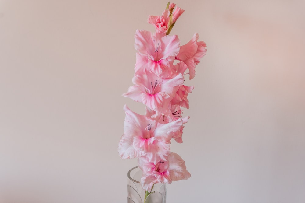 투명 유리 꽃병에 핑크 벚꽃
