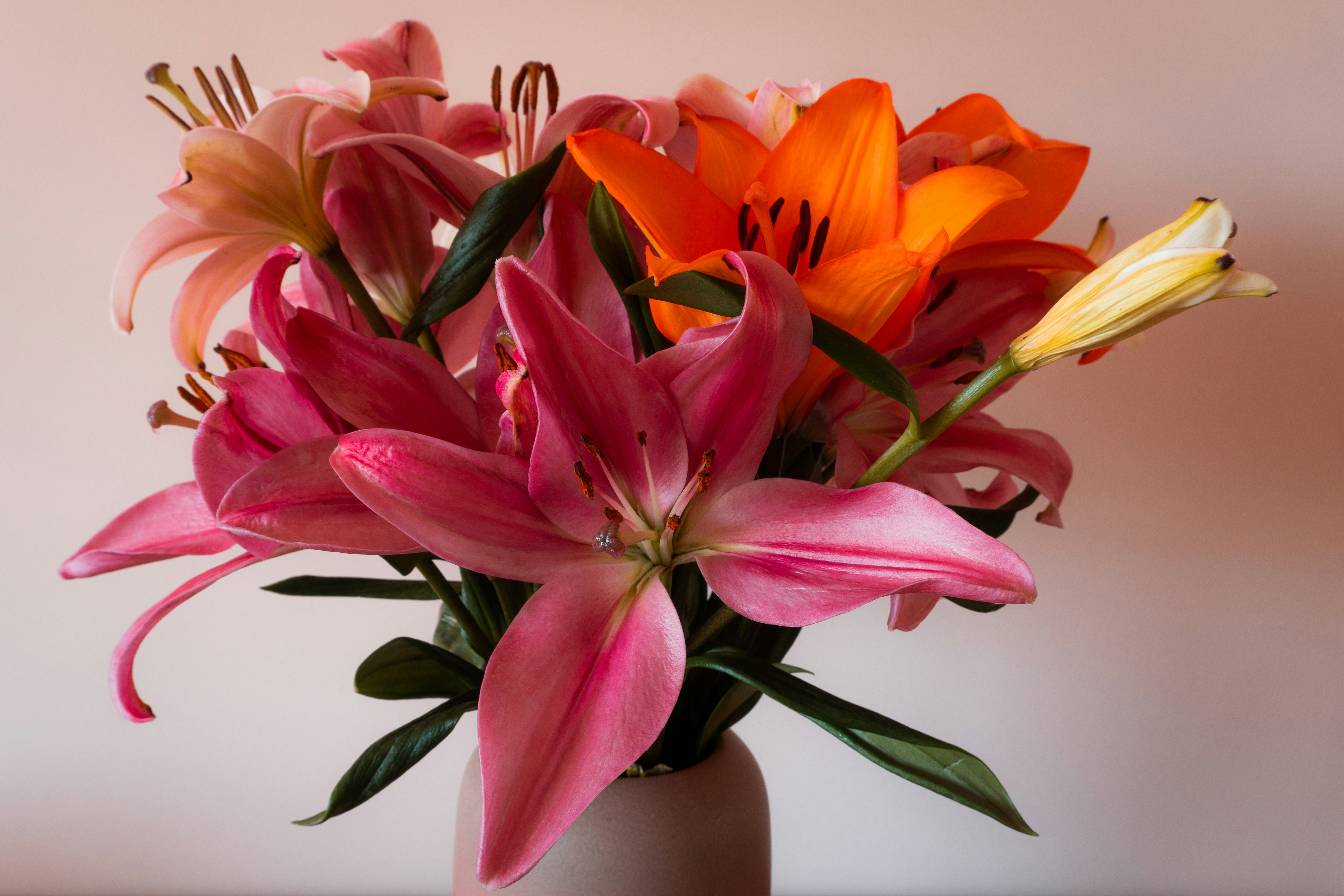 Photo by earl_plannerzone