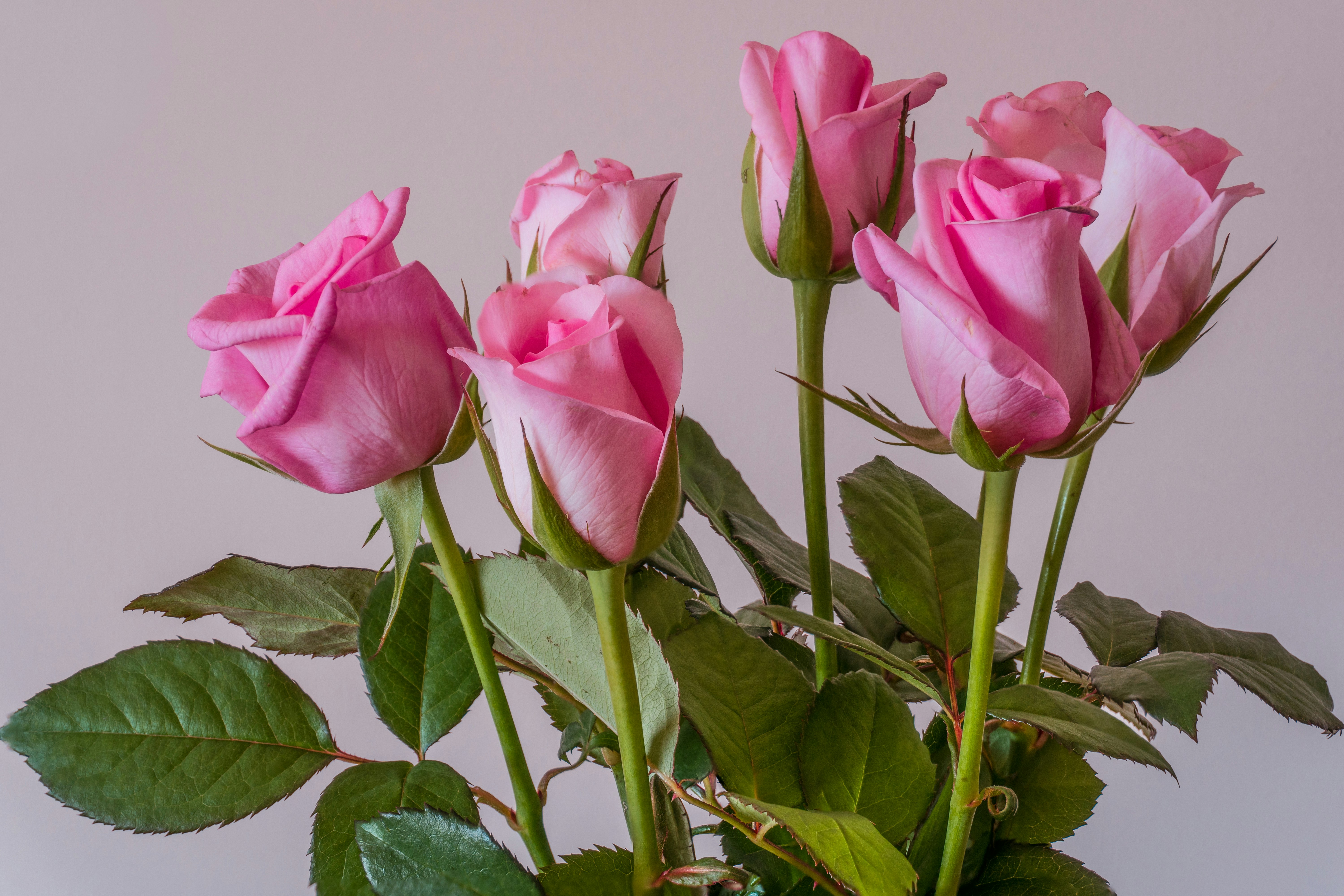 Photo by earl_plannerzone