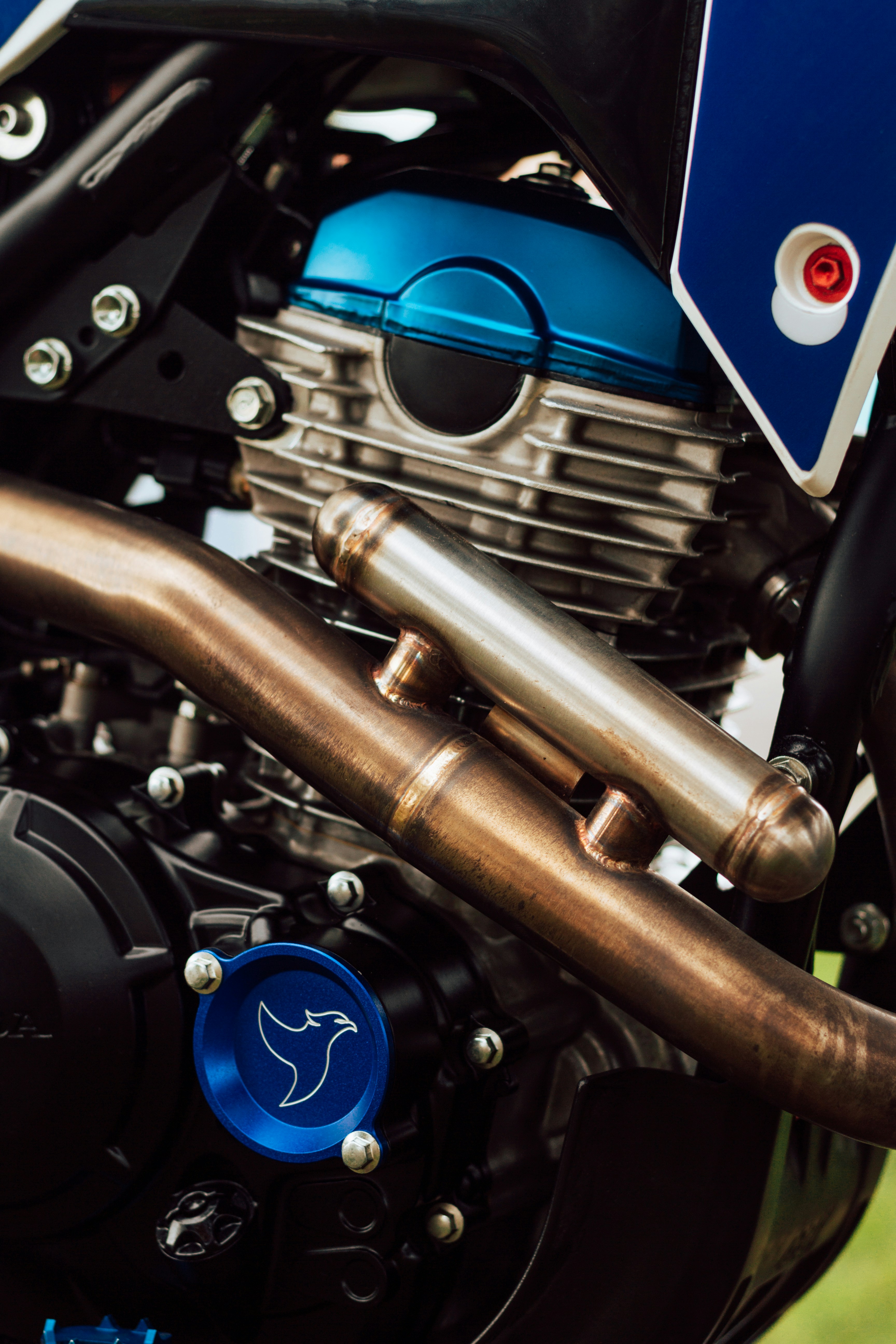 Photo by jefersonsantu