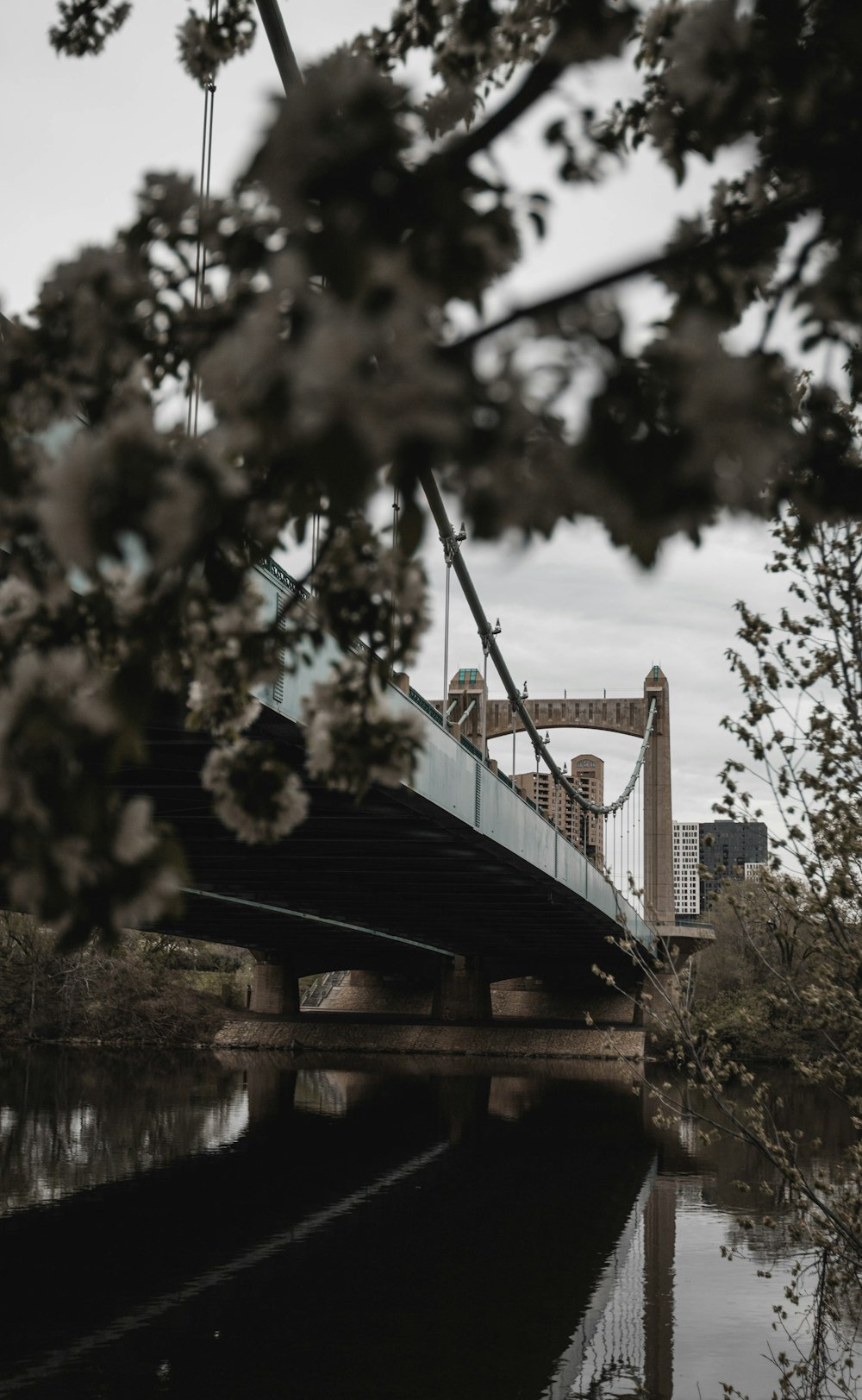 brown bridge over river during daytime