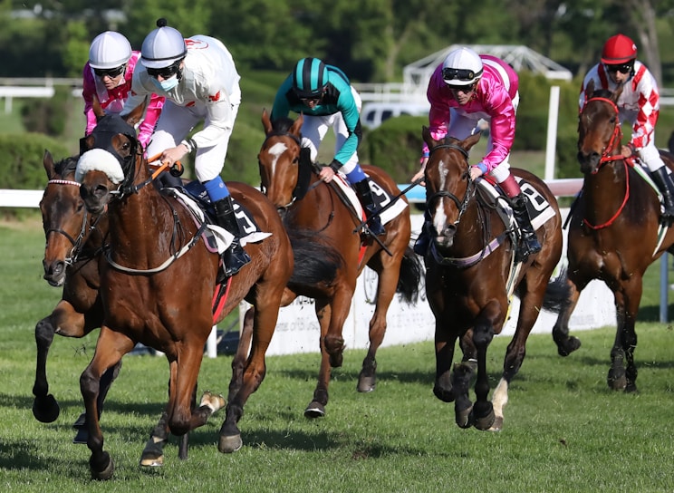 A close-up of a jockey in colorful silks riding a galloping horse during a race.