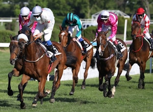 A group of jockeys riding racehorses is captured in action during a horse race. The horses are galloping on a grassy track, and each jockey is dressed in brightly colored racing silks, including pink, white, and blue. The intensity of the race is evident as the jockeys lean forward, urging their horses onward.