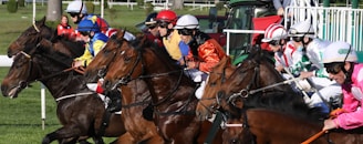 A group of jockeys riding racehorses are caught in mid-action, all wearing colorful racing silks and helmets. They appear to be at the starting gate, with focused and determined expressions as they begin a race. The background includes greenery and parts of the racing infrastructure.