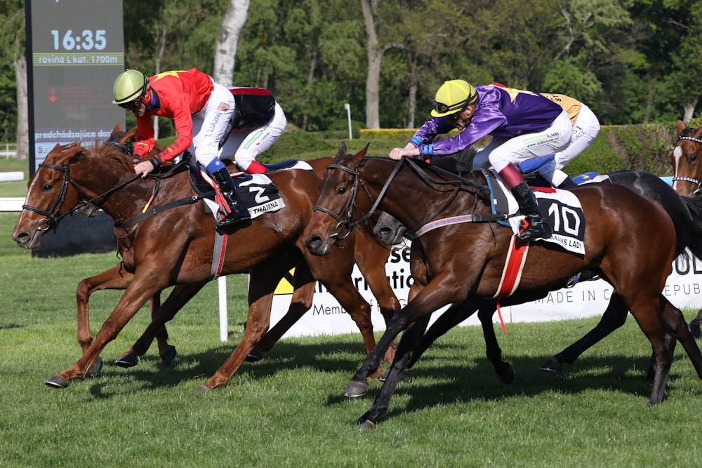 man in yellow white and blue hat riding brown horse during daytime