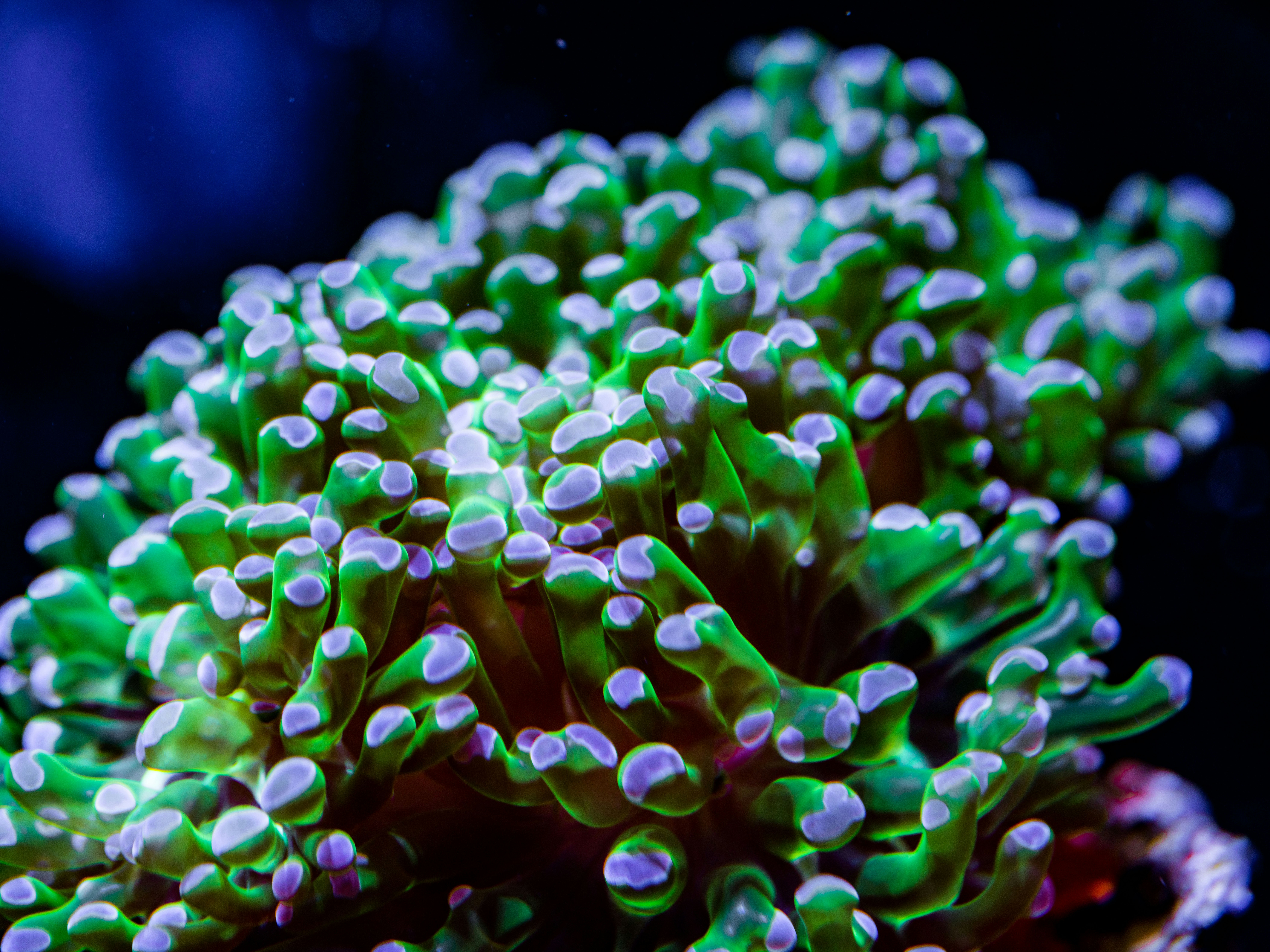 Photo by sandbarproductions