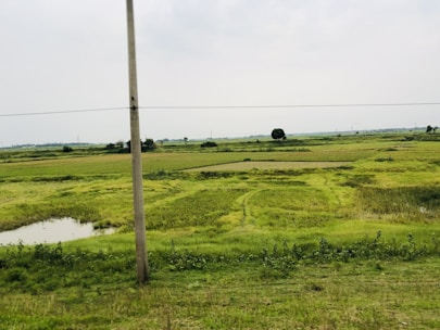 green grass field under white sky during daytime