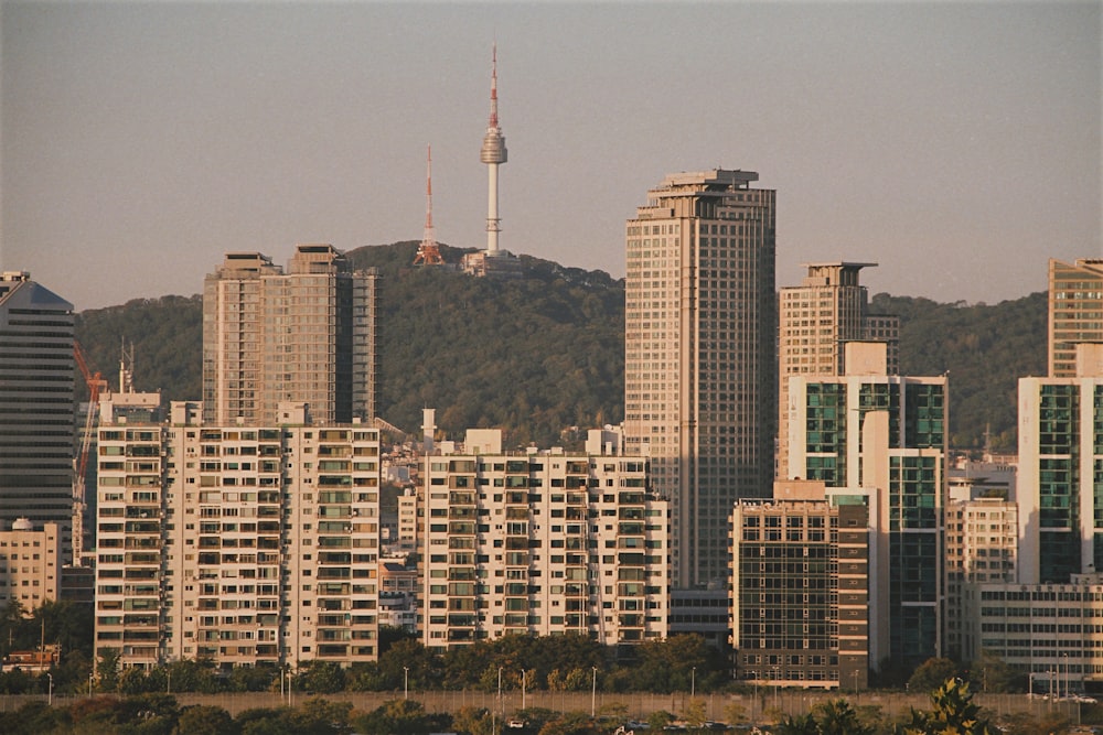 white and brown concrete buildings during daytime