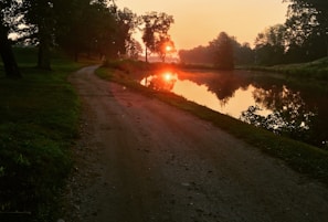 A peaceful morning run along a river trail surrounded by lush greenery