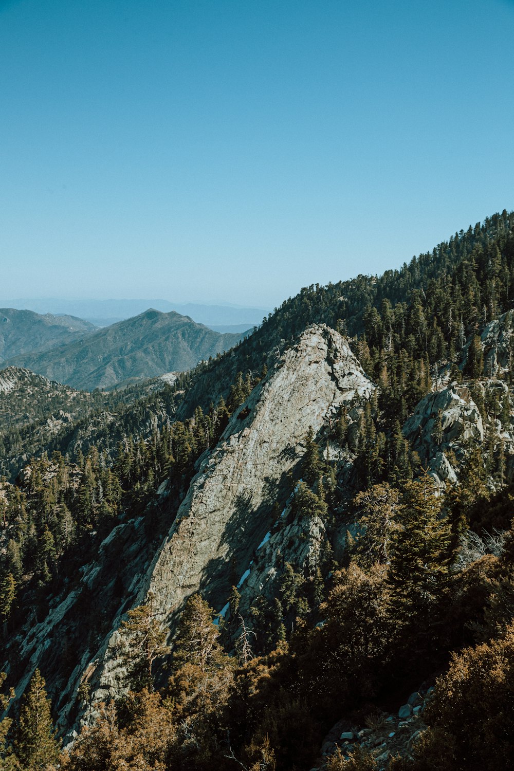 árboles verdes en la montaña bajo el cielo azul durante el día