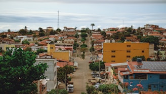 Several houses with brown and red tiled roofs stretch across a suburban area. The streets are lined with trees and utility poles, with a yellow and a blue building in the foreground. The landscape is slightly hilly with greenery and palms dotting the area.