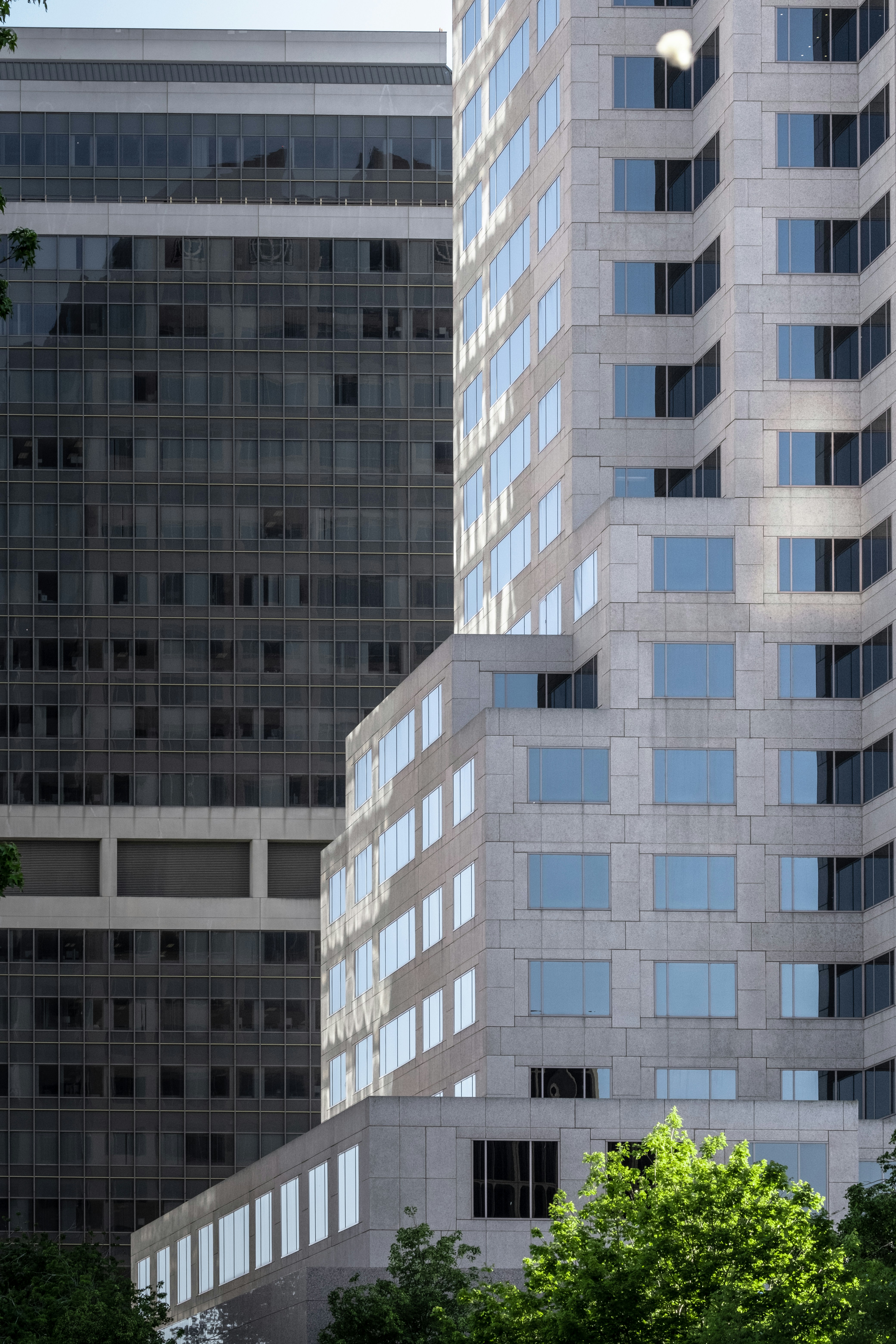 Photo by parsoakhorsand