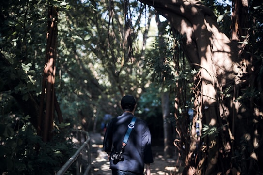 A person with a camera hanging from their shoulder walks along a path surrounded by dense trees and foliage. Sunlight filters through the leaves, creating intricate patterns of light and shadow on the ground and the surrounding greenery. The atmosphere is quiet and serene, inviting exploration and reflection.
