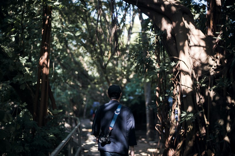 A person with a camera hanging from their shoulder walks along a path surrounded by dense trees and foliage. Sunlight filters through the leaves, creating intricate patterns of light and shadow on the ground and the surrounding greenery. The atmosphere is quiet and serene, inviting exploration and reflection.