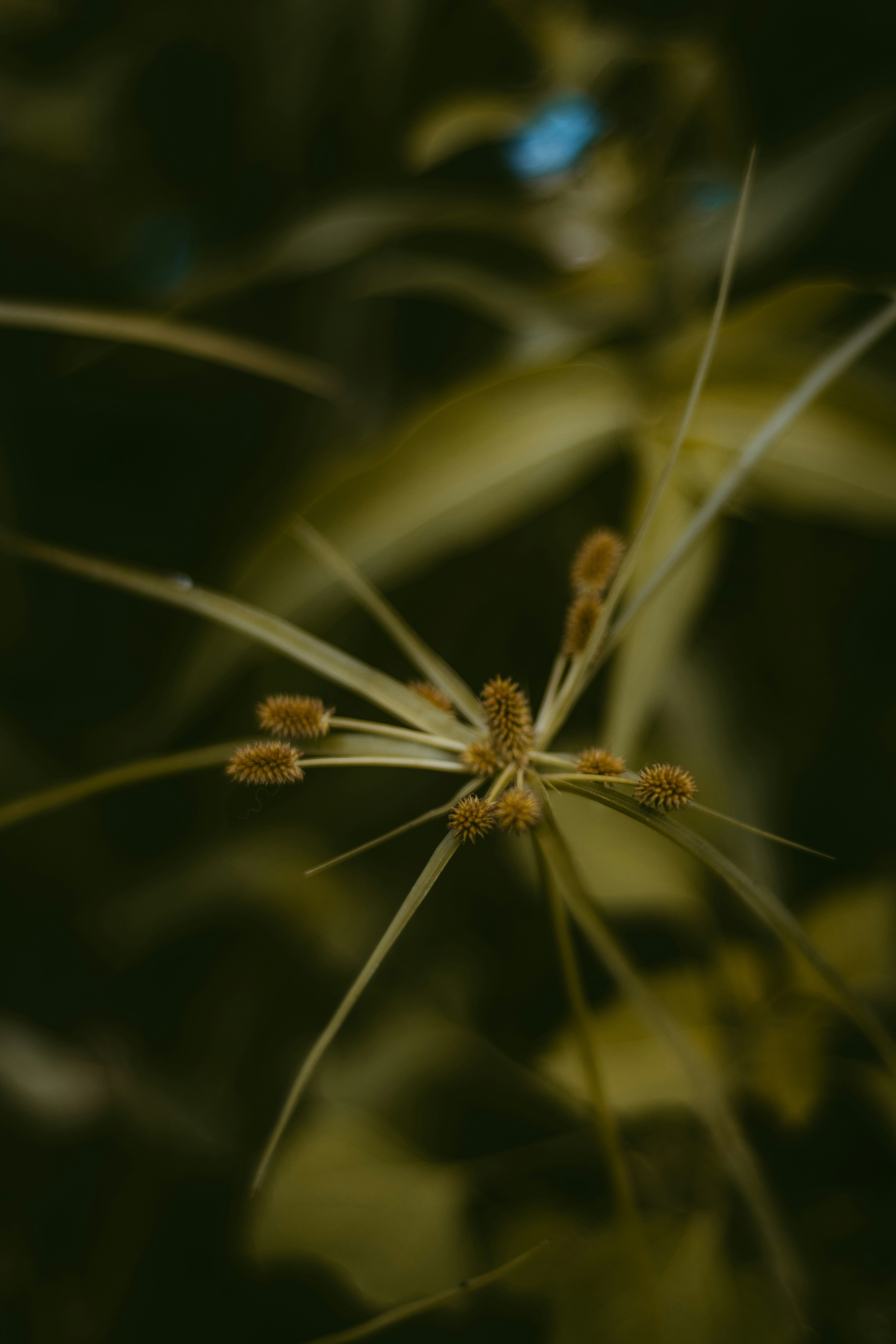 Photo by atlonglastcz