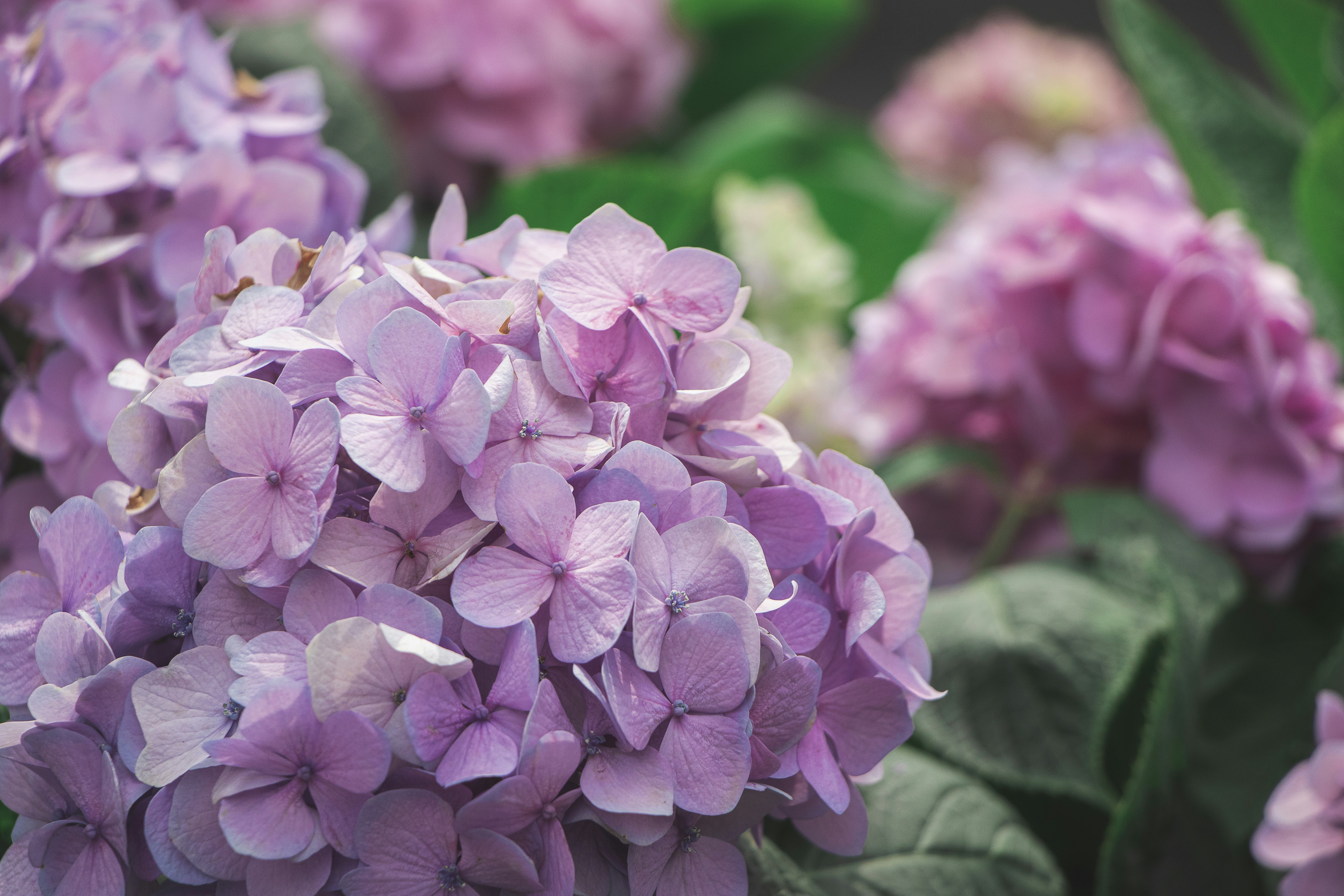 Photo by chriswong97