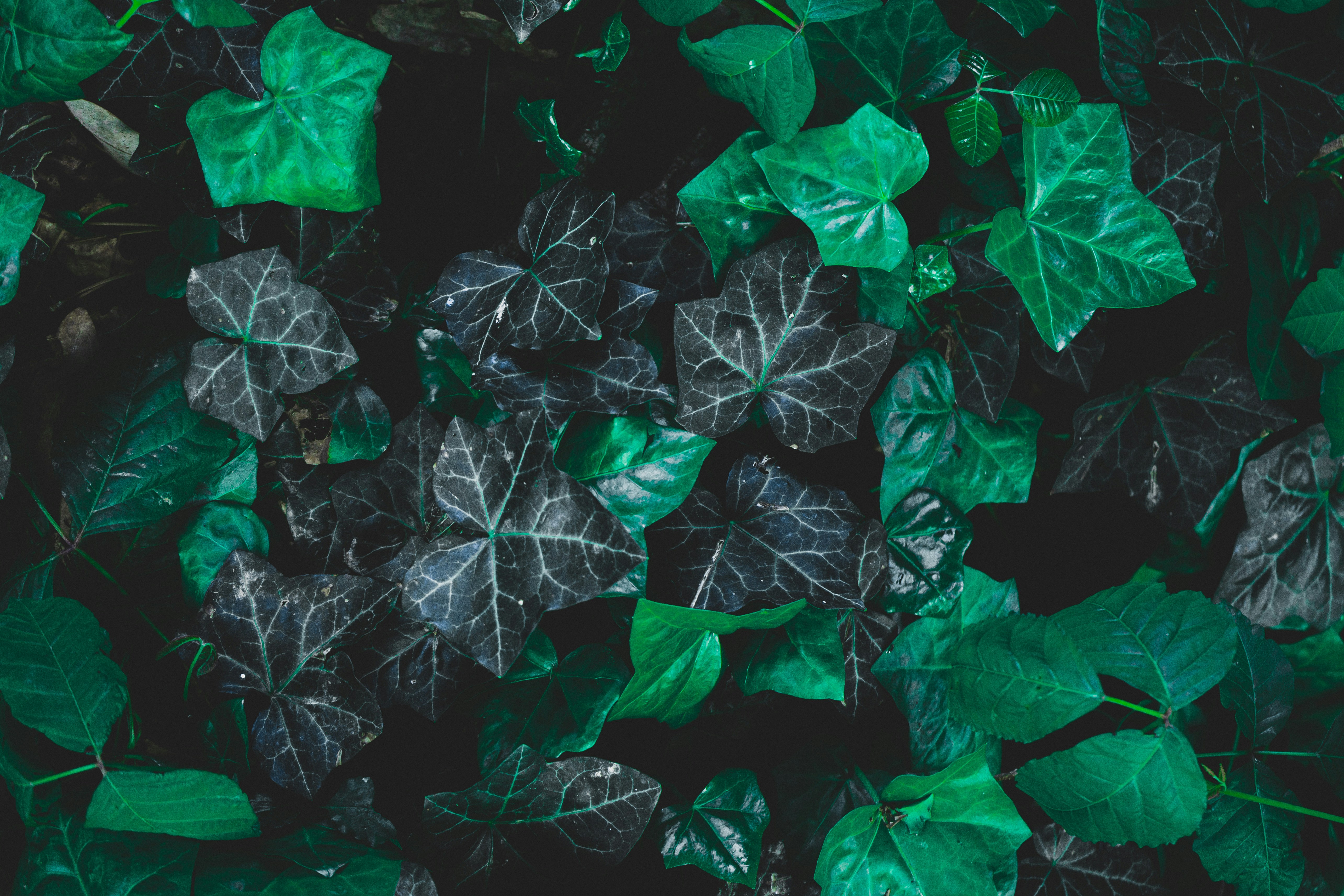 Photo by mayertawfik