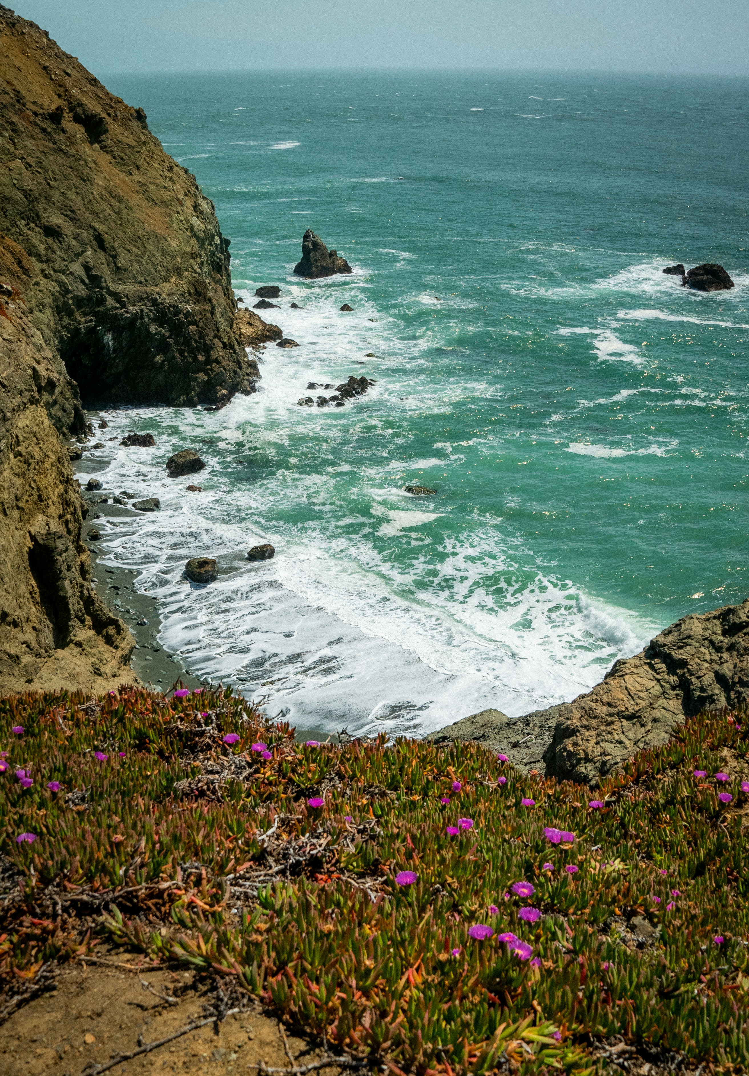 Marin Quarterly Report: January-March 2026