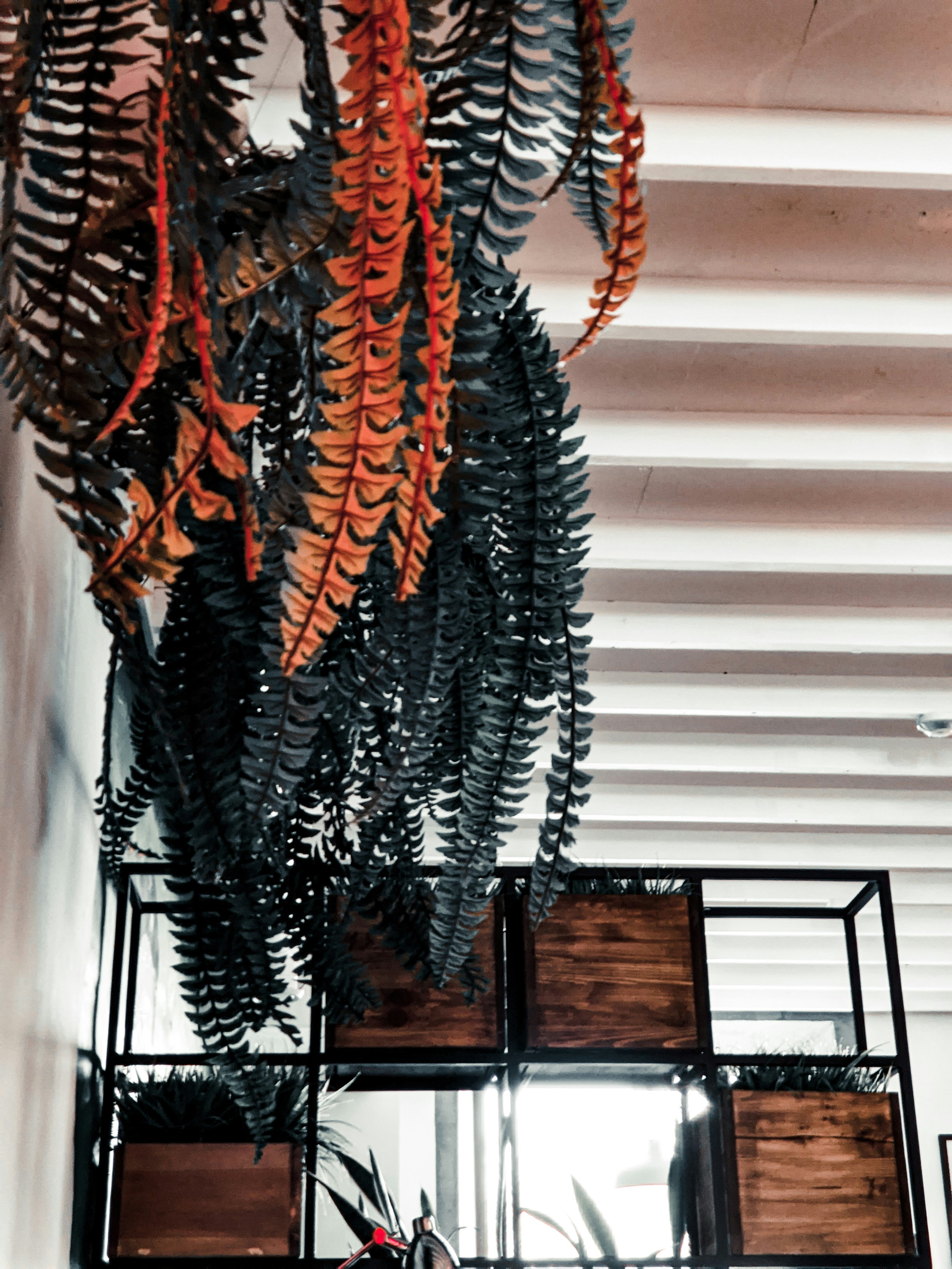 Kokedamas Artesanales Únicas