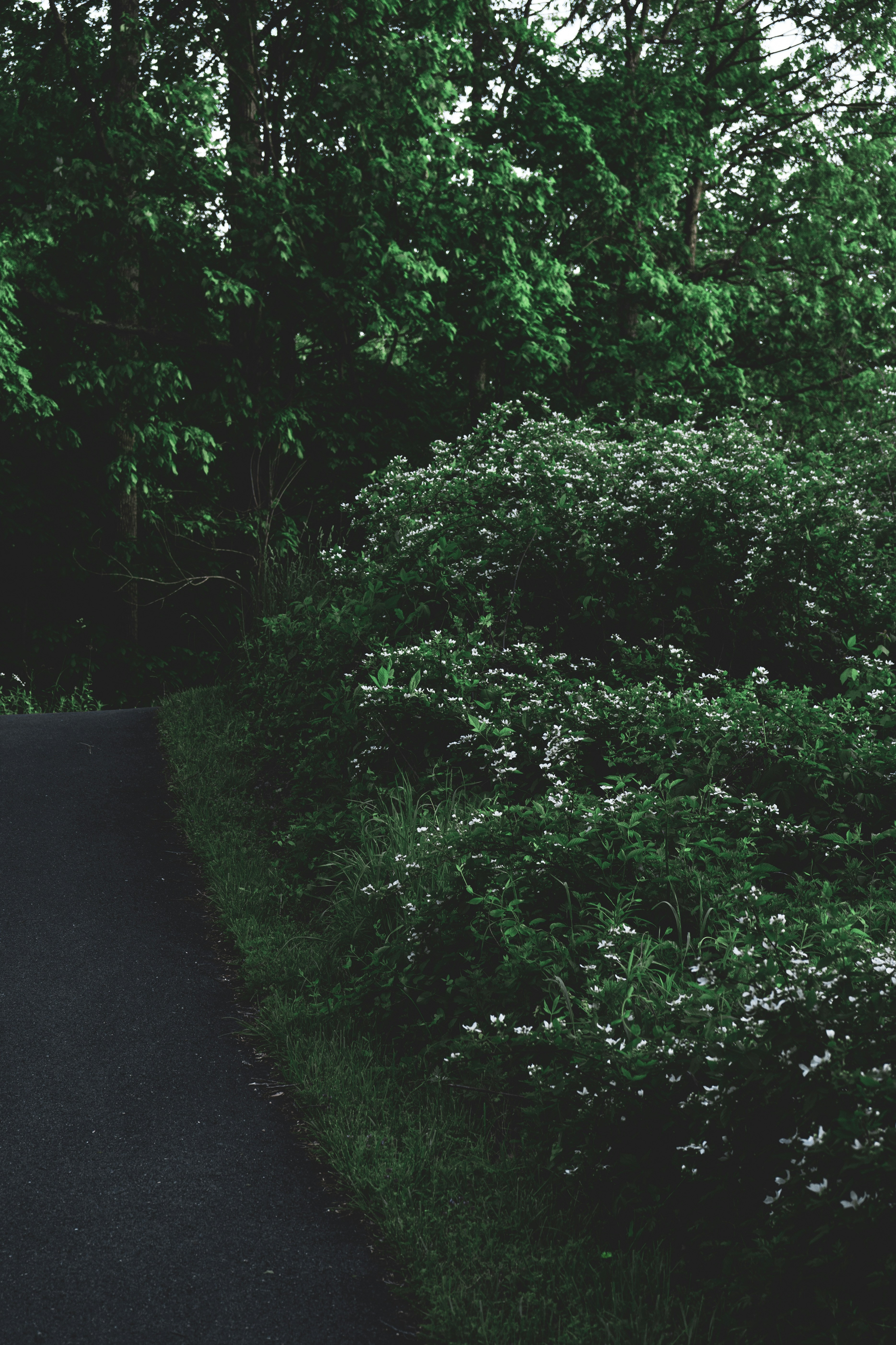 Photo by mayertawfik