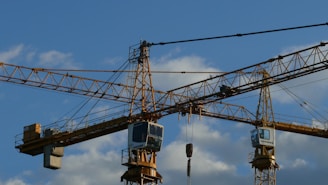 yellow and black crane under blue sky during daytime
