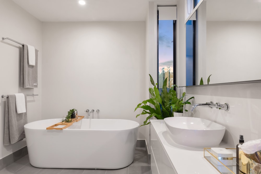 white ceramic bathtub near green potted plant