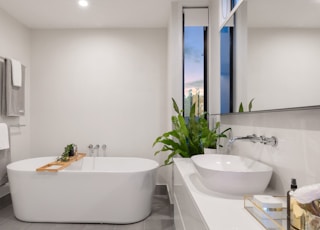 white ceramic bathtub near green potted plant