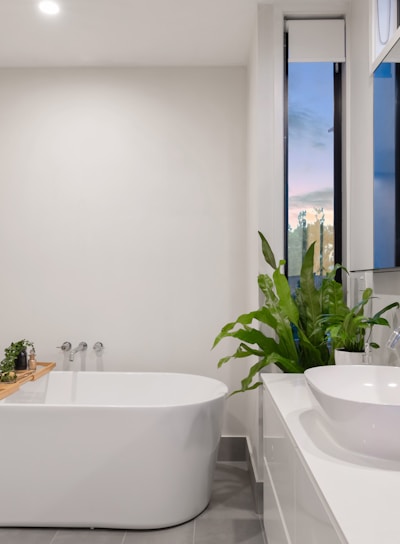 white ceramic bathtub near green potted plant