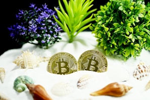Two Bitcoin coins are placed upright in a bed of white sand surrounded by seashells and small green and purple plants. The scene appears to mimic a natural setting with an intriguing mix of cryptocurrency and nature.