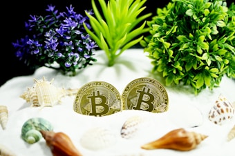 Two Bitcoin coins are placed upright in a bed of white sand surrounded by seashells and small green and purple plants. The scene appears to mimic a natural setting with an intriguing mix of cryptocurrency and nature.