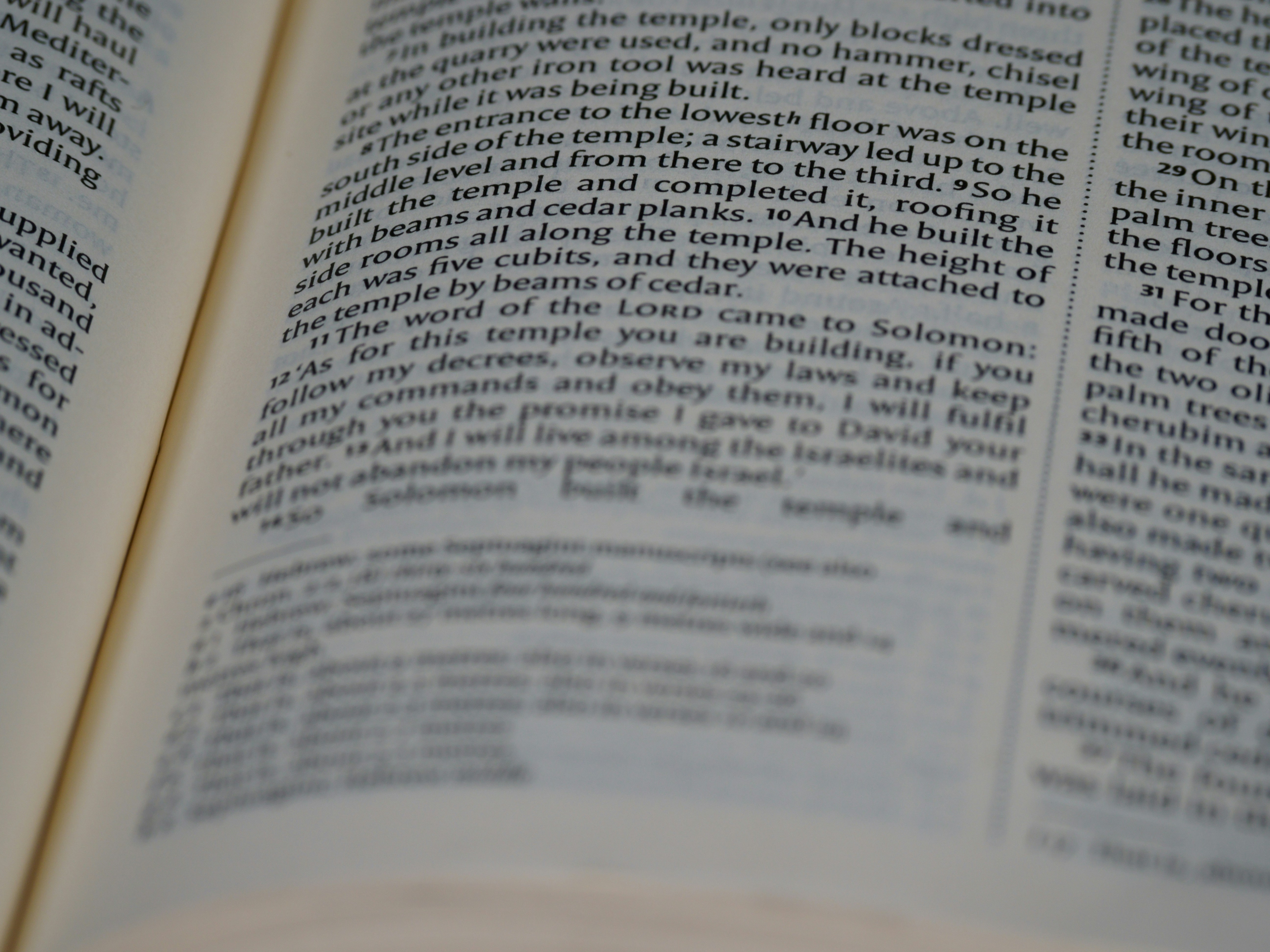 Photo by brett_jordan