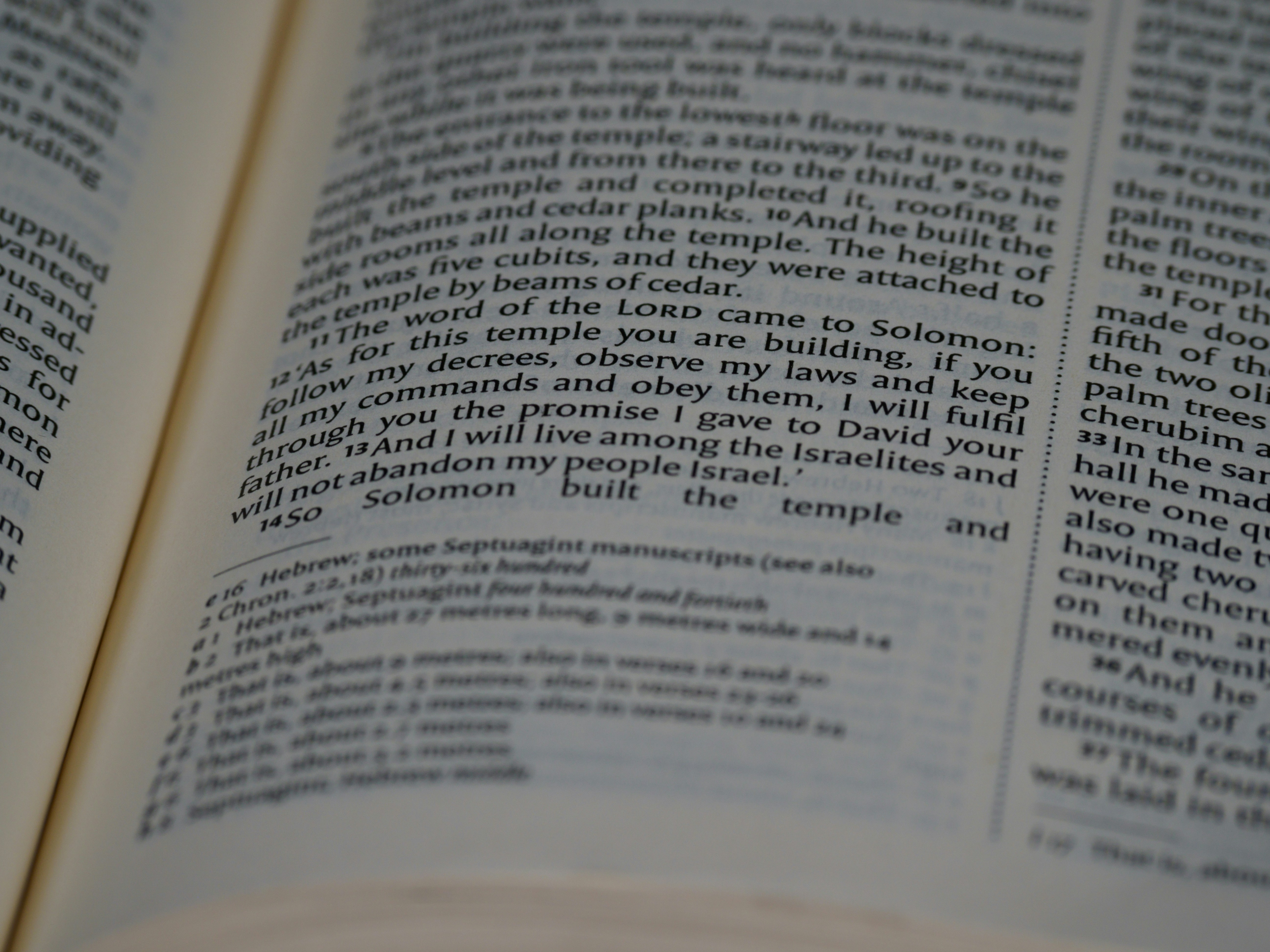 Photo by brett_jordan