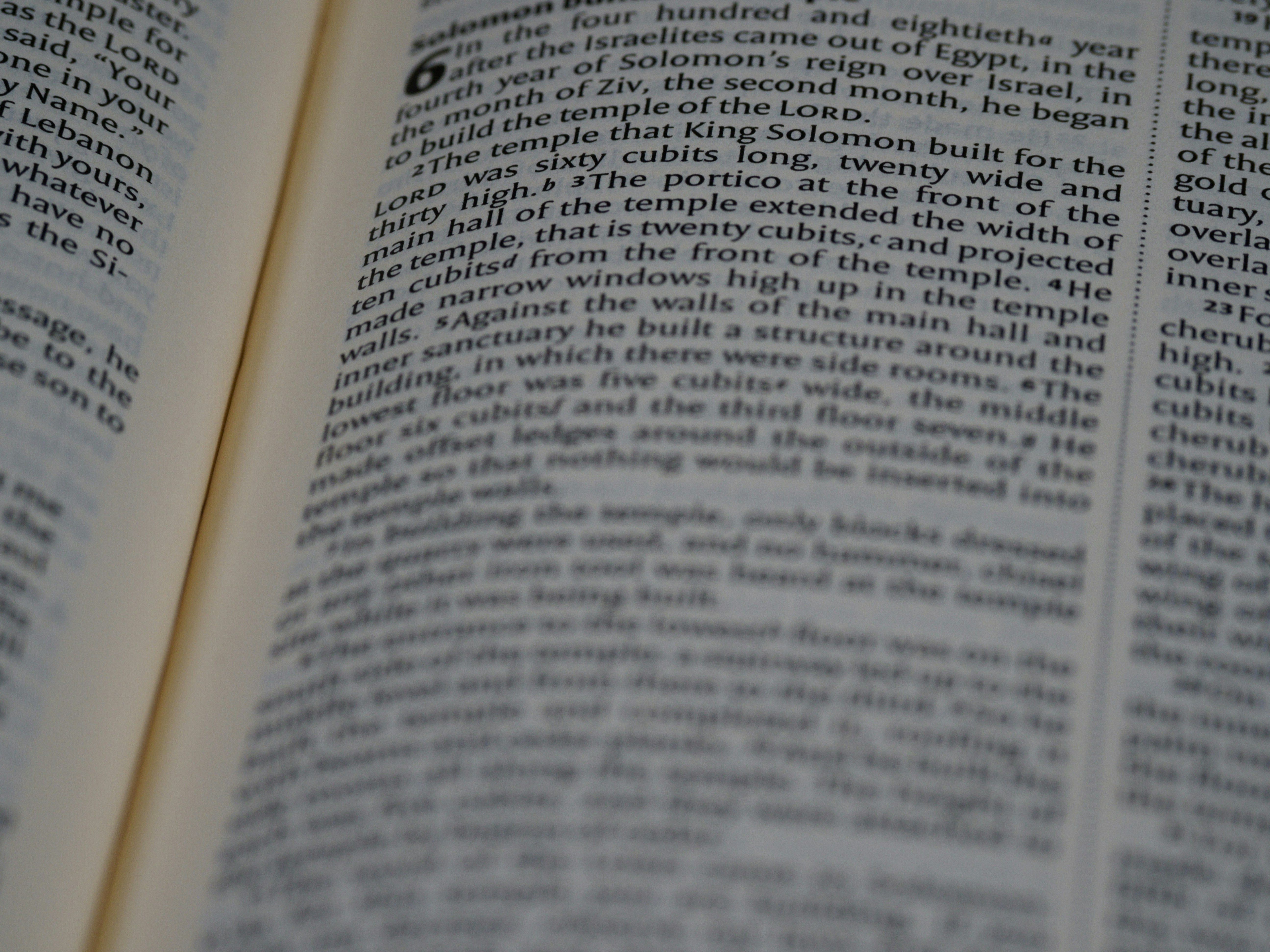 Photo by brett_jordan