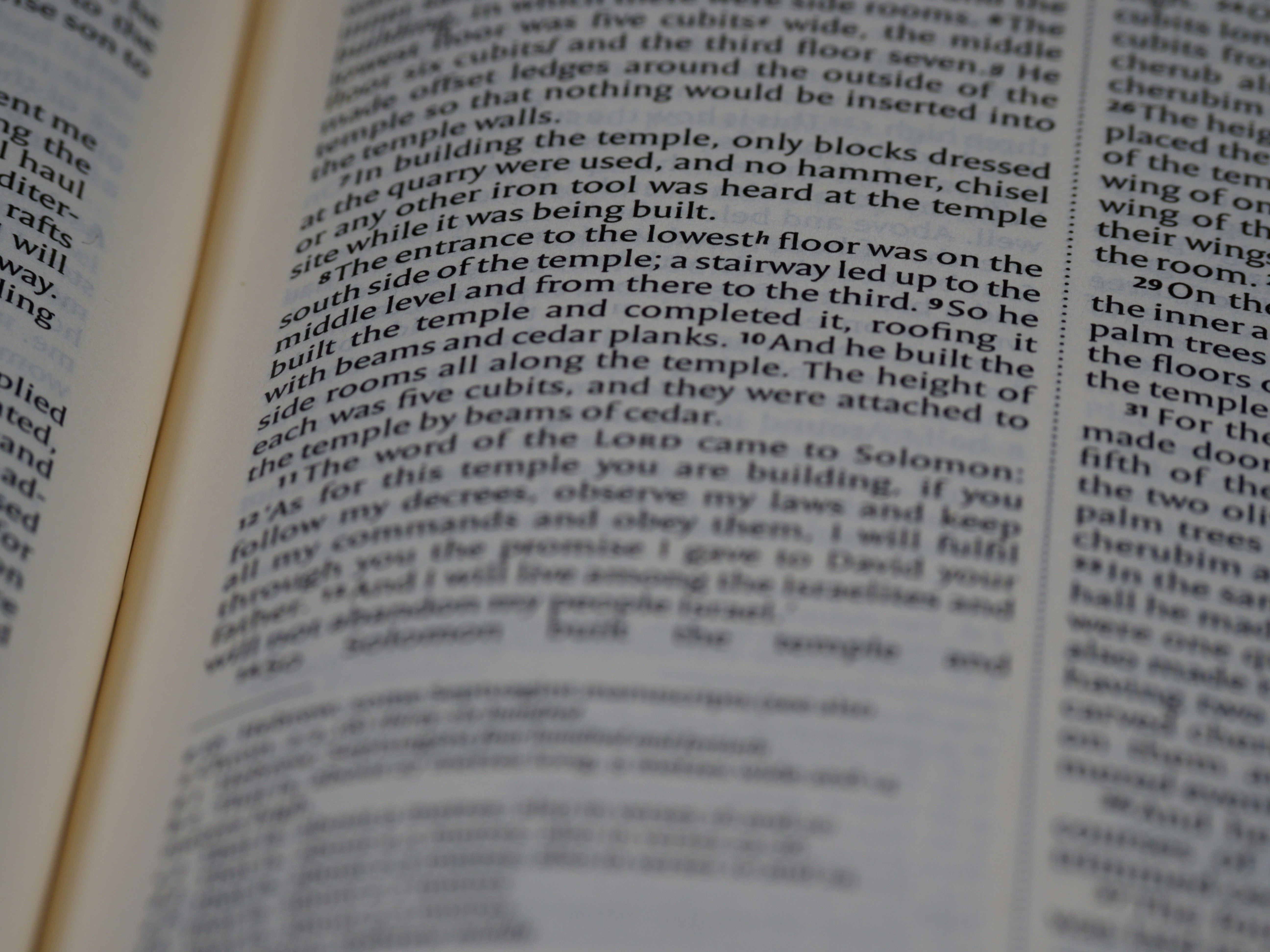 Photo by brett_jordan