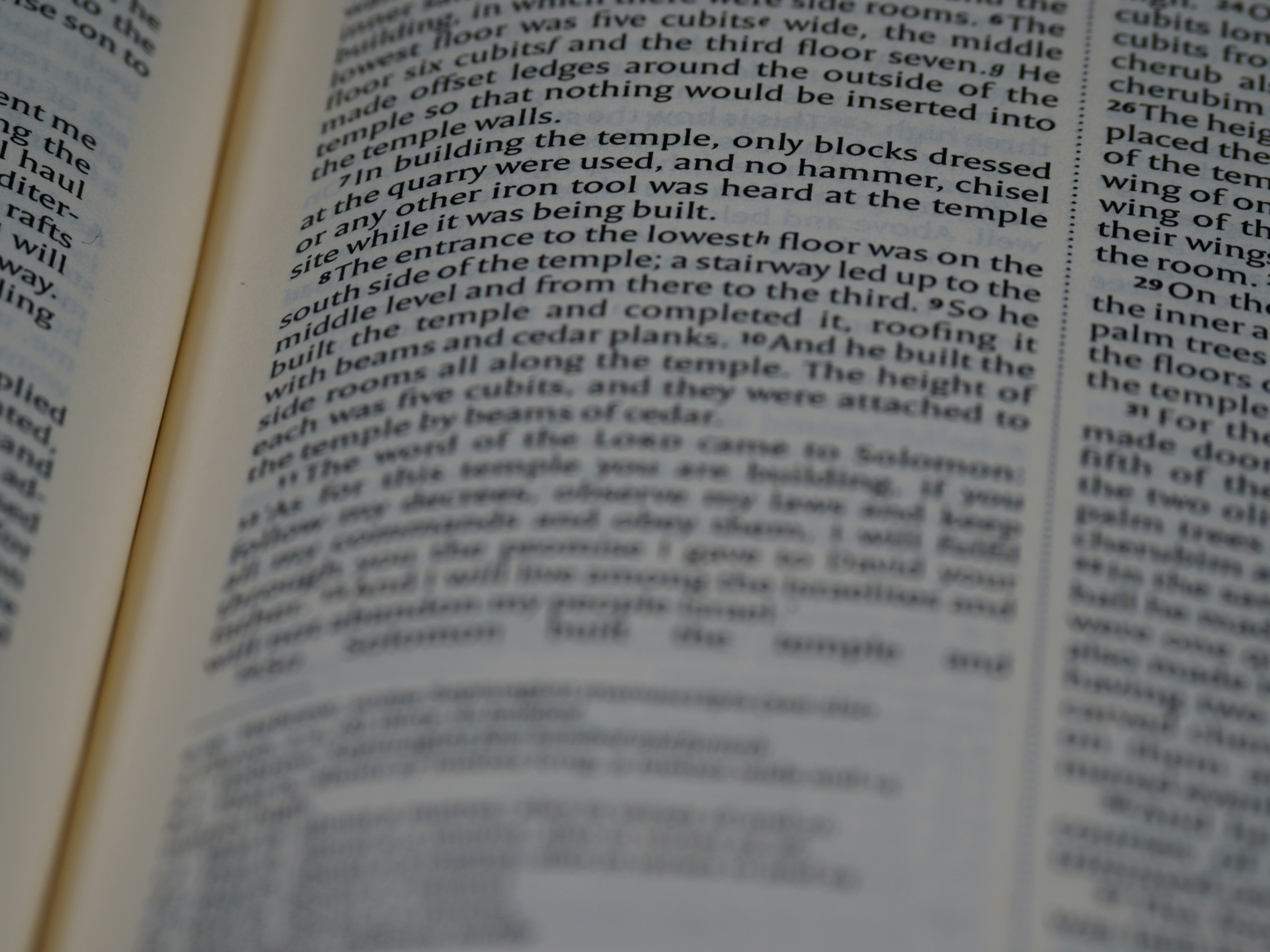 Photo by brett_jordan