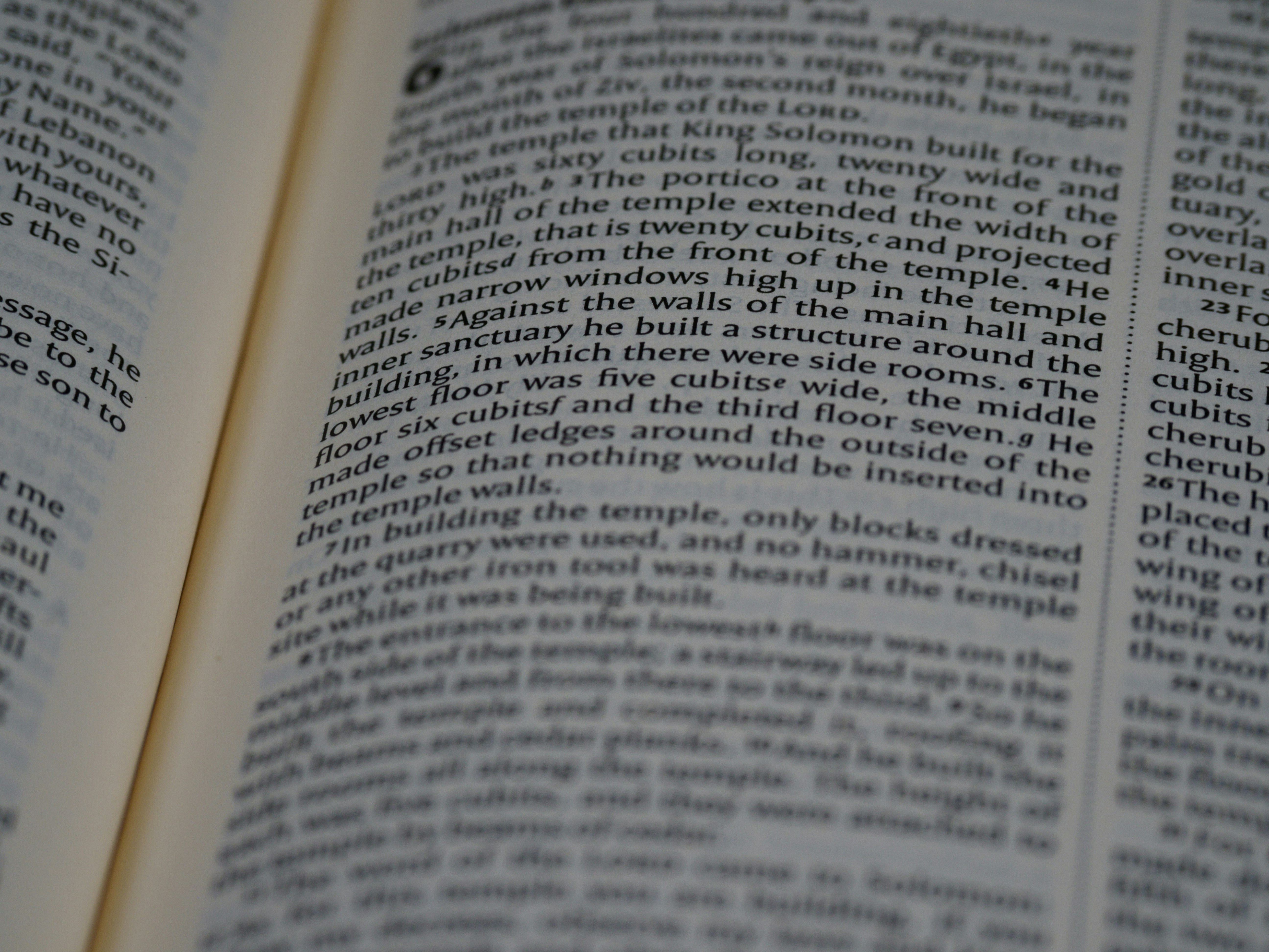 Photo by brett_jordan