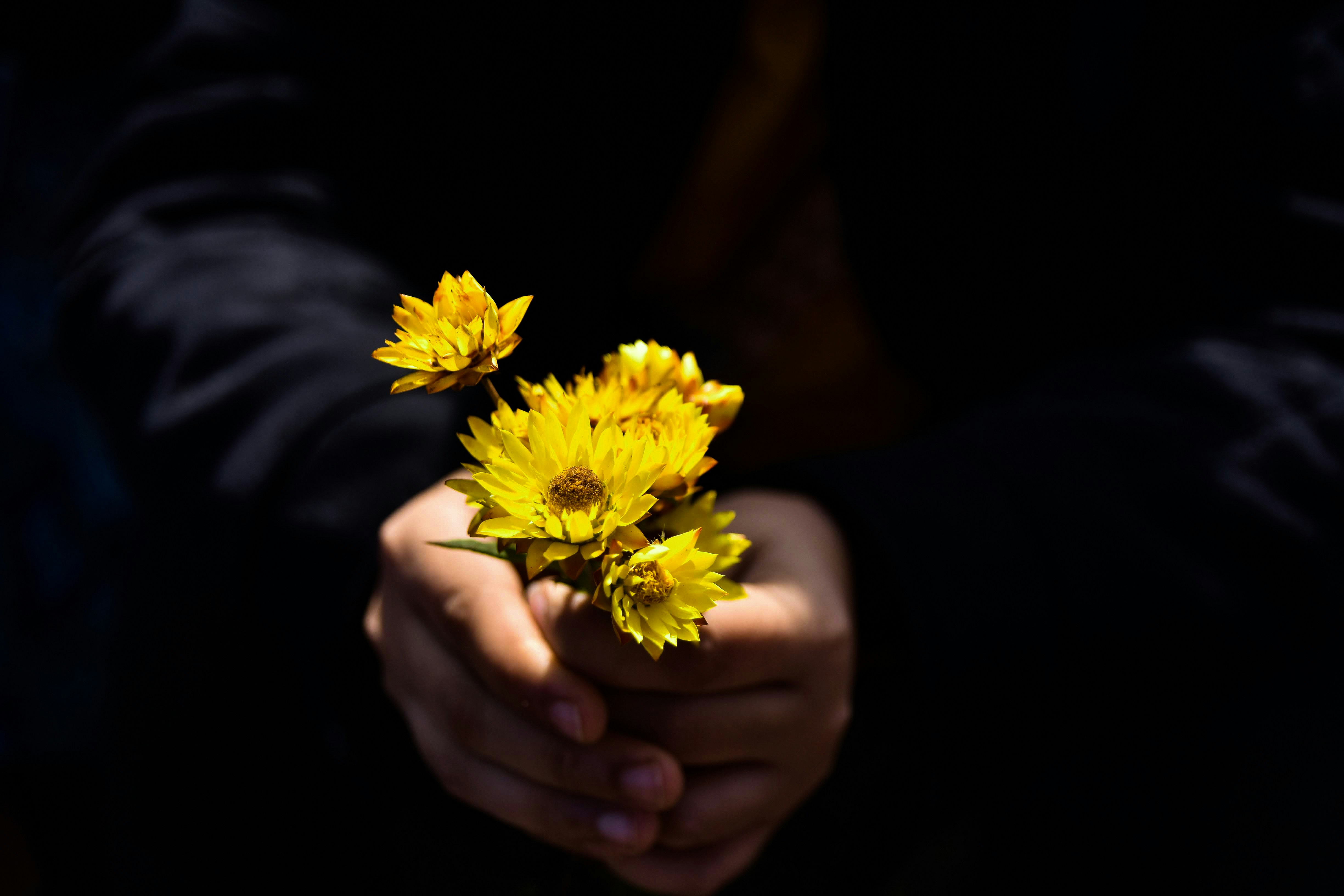 Photo by avincp