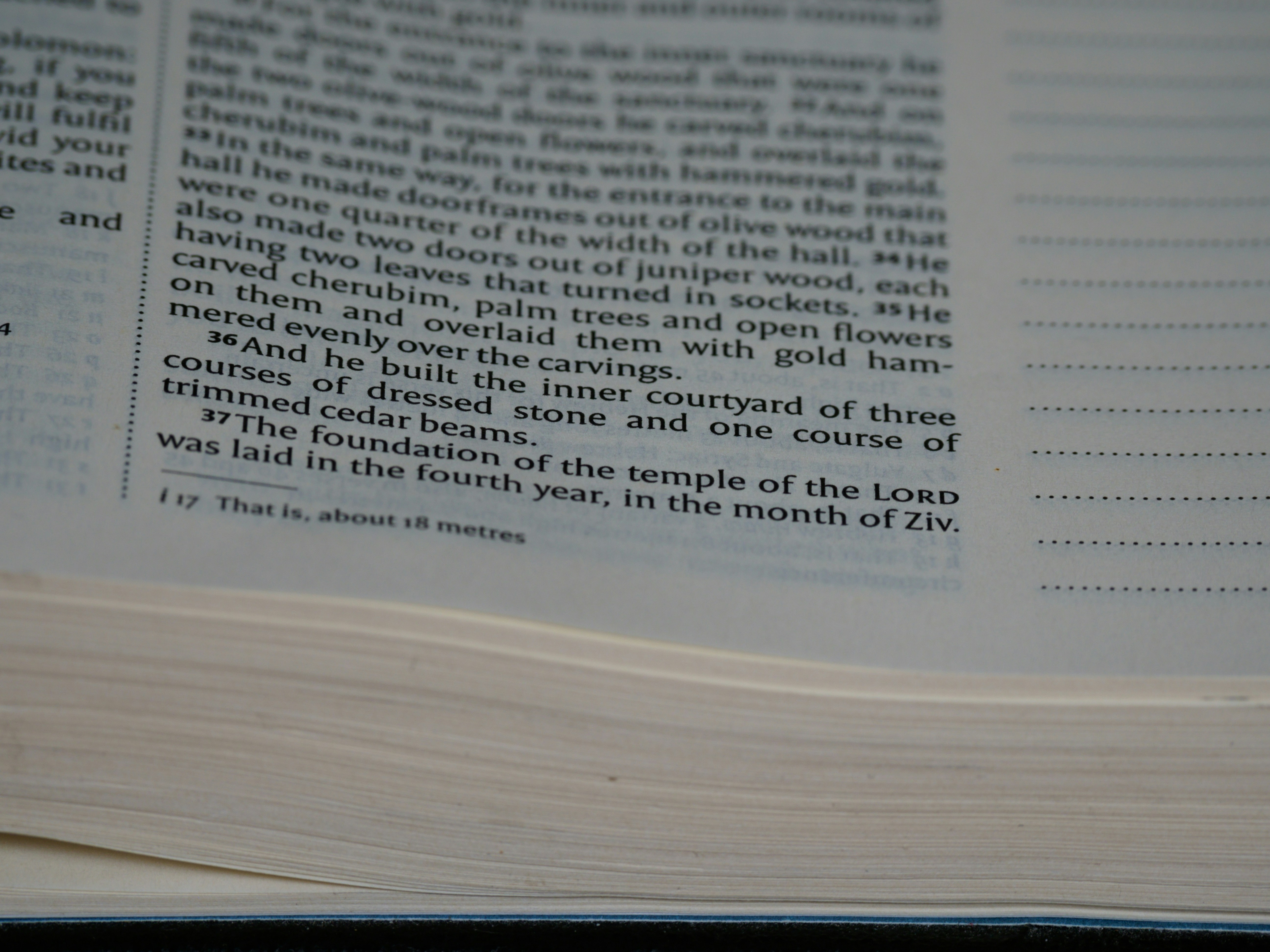 Photo by brett_jordan