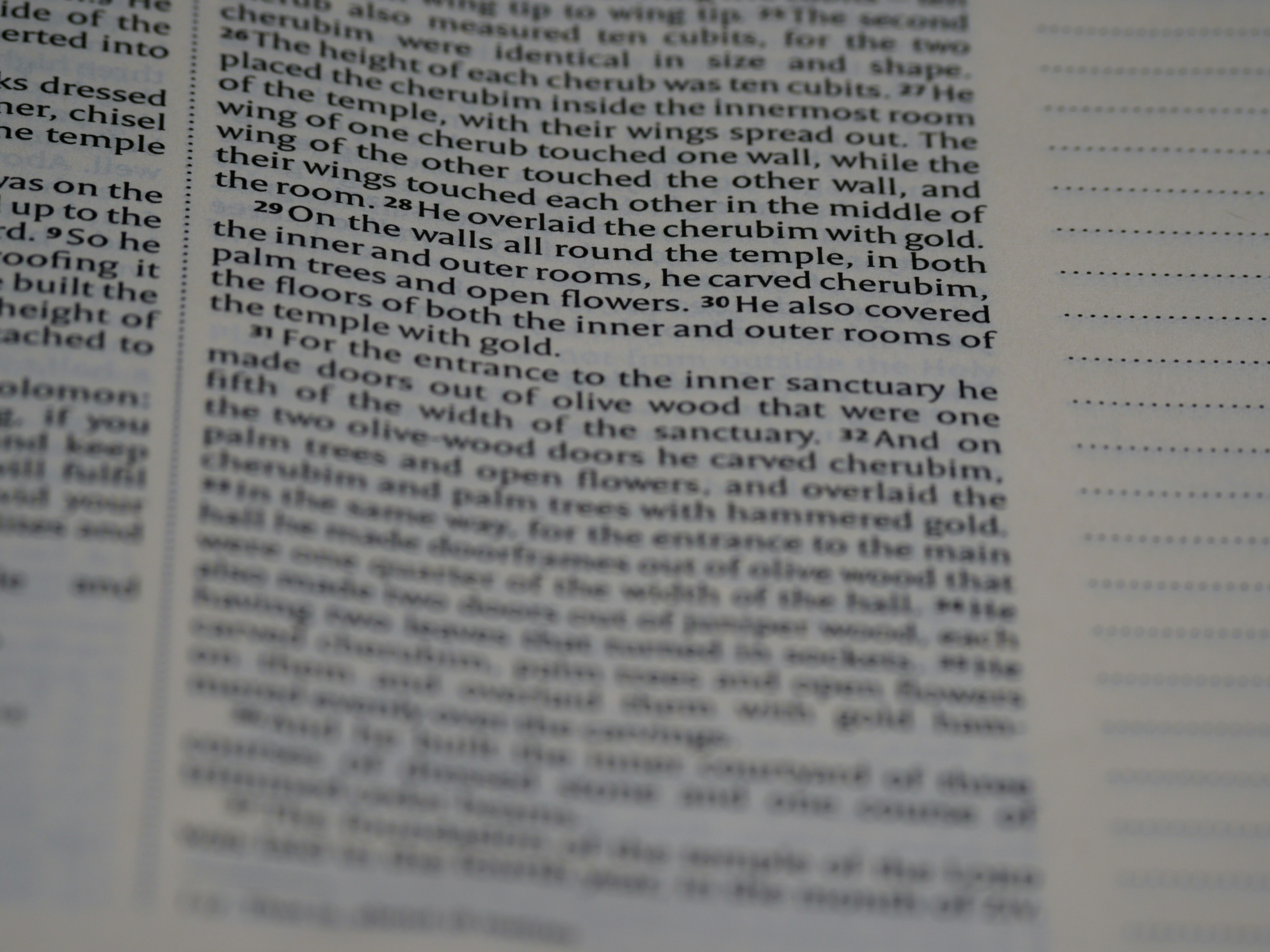 Photo by brett_jordan