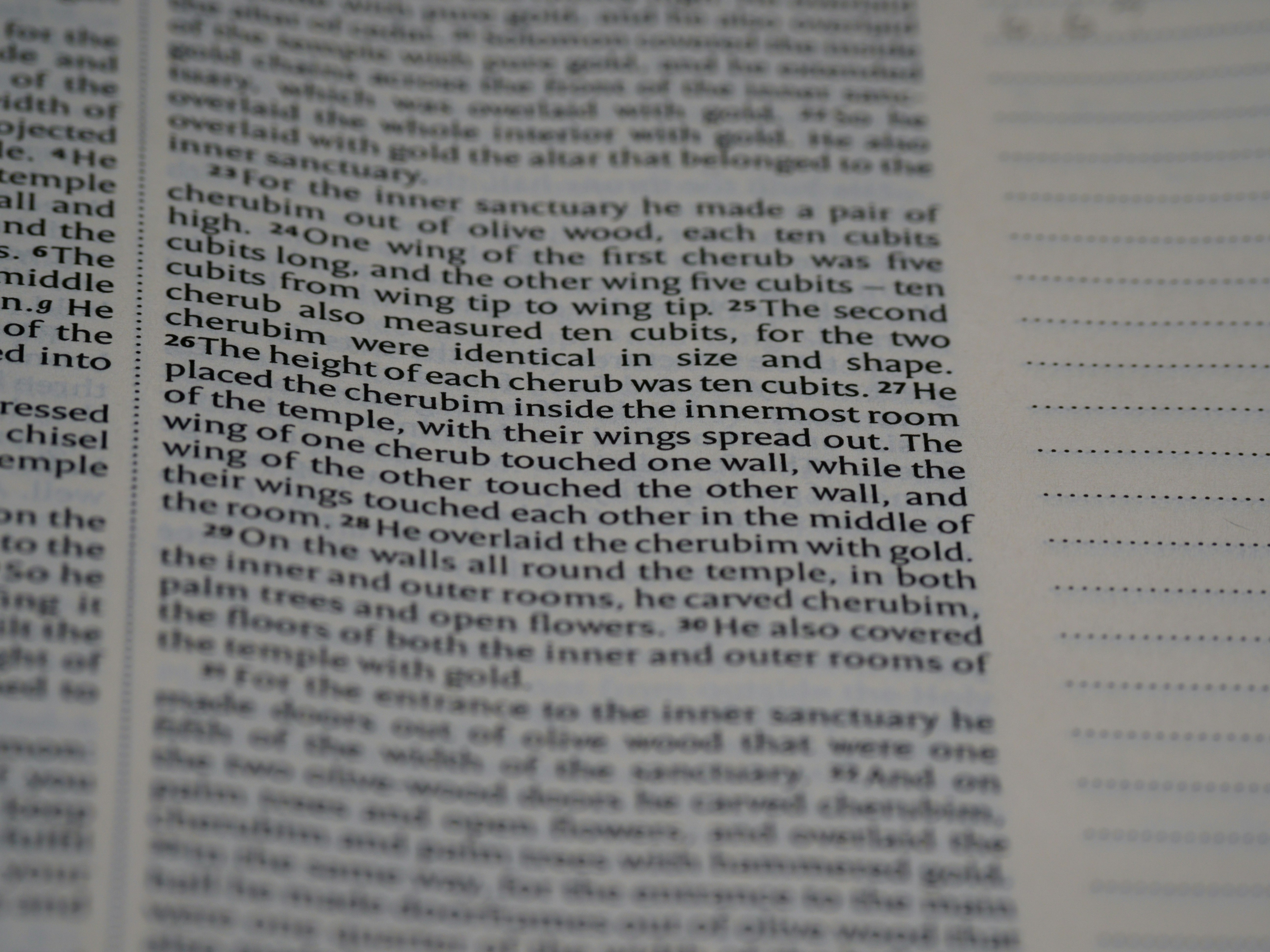 Photo by brett_jordan