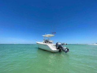 A motorboat with several fishing rods is anchored in clear, turquoise water under a cloudless blue sky. The boat's outboard motor is visible, and there are other distant boats on the horizon.