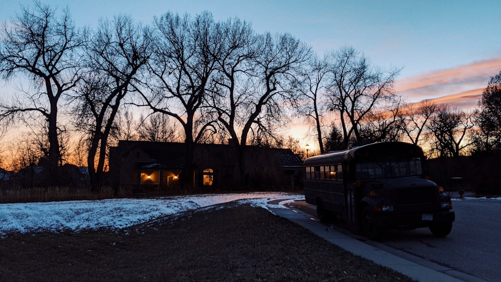 bare trees near brown building during daytime