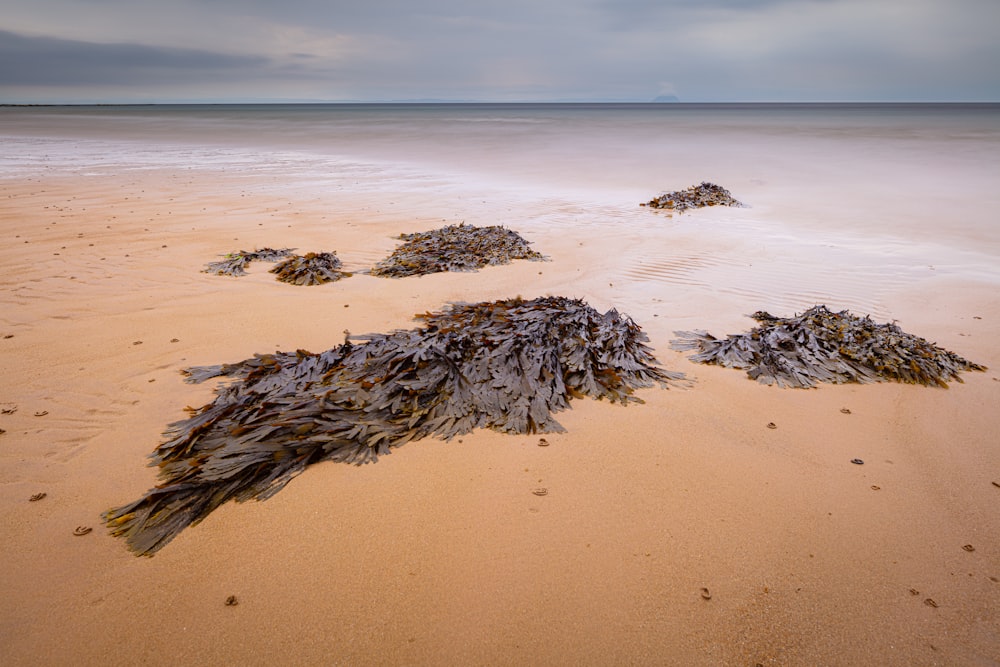 brown and black rock formation on beach during daytime